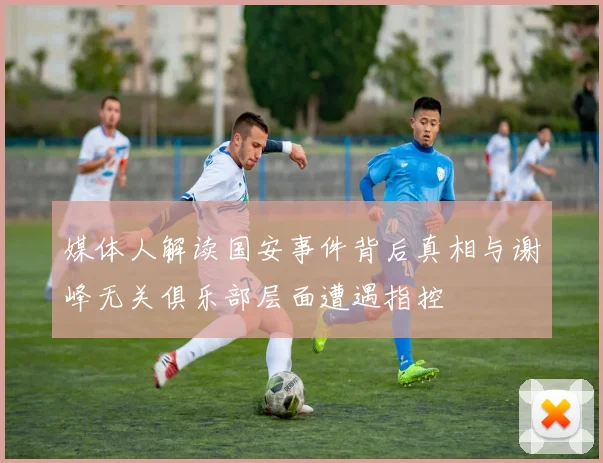 媒体人解读国安事件背后真相与谢峰无关俱乐部层面遭遇指控