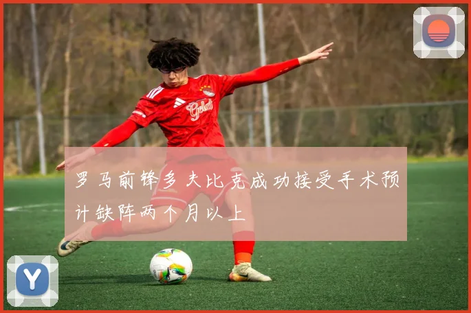 罗马前锋多夫比克成功接受手术预计缺阵两个月以上