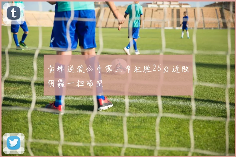 黄蜂逆袭公牛第三节狂胜26分连败阴霾一扫而空